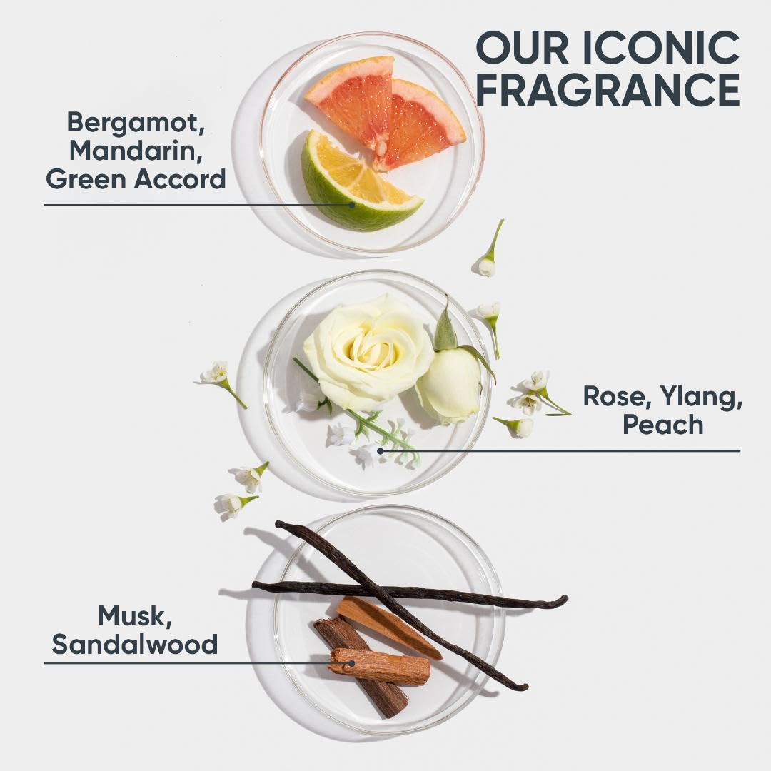 Biolage Hydra Source Deep Treatment Pack | Moisturizing & Strengthening Hair Mask | With Aloe | For Dry, Damaged Hair | Paraben Free | Vegan | Cruelty Beauty & Personal Care Biolage