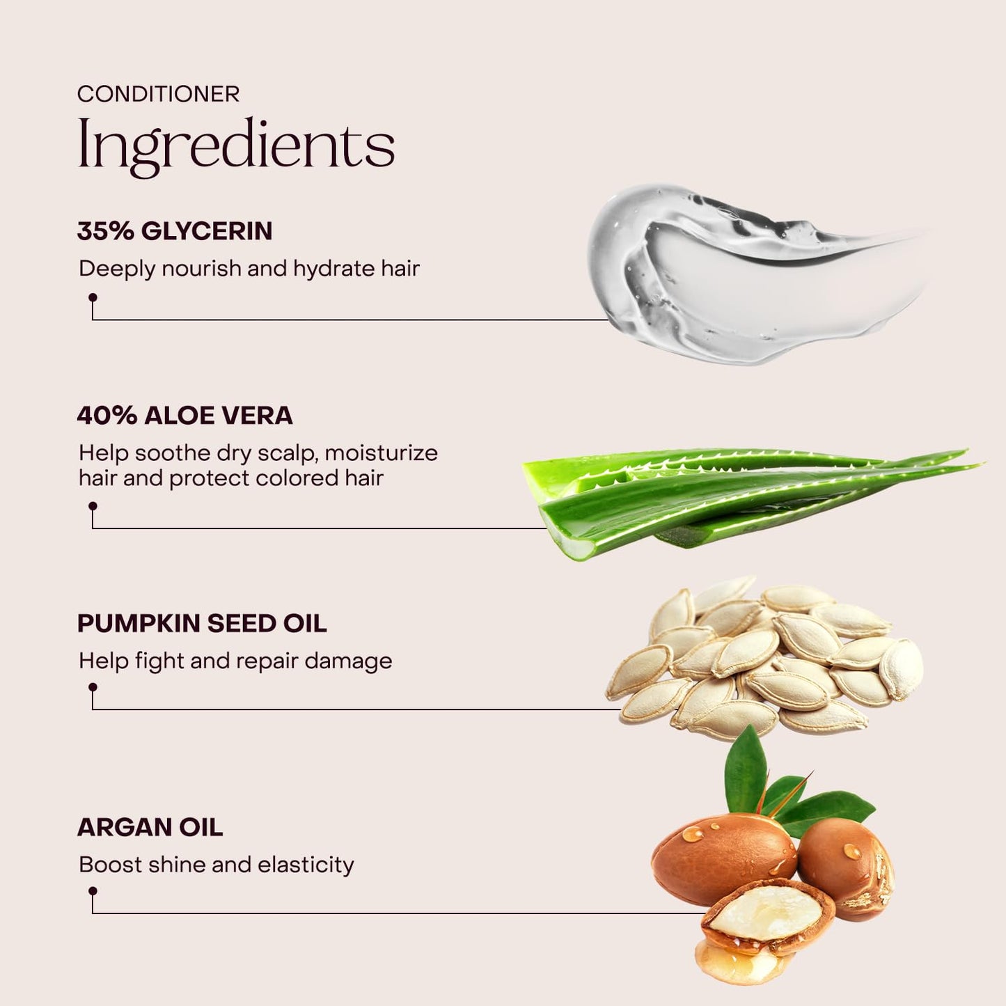 Everist The Haircare Meets Skincare Set, Includes Shampoo & Deep Conditioner Concentrates, Strengthens & Repairs Hair, Hydrates & Soothes Scalp Beauty & Personal Care Everist