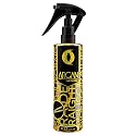 Argan Radiance Hair Treatment Spray with Moroccan Argan Oil - Leave-In Hair Shine & Anti-Frizz Spray, Heat Protectant for Dry Damaged Hair Beauty & Personal Care Five Brothers Products