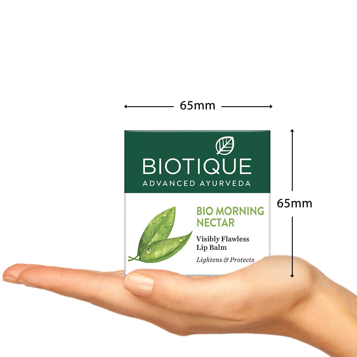 Biotique Bio Morning Nectar Lightening Lip Balm SPF 30 UVA/UVB Sunscreen Ligh. Beauty and Personal Care Biotique