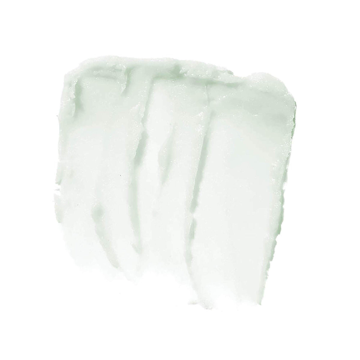 e.l.f. Lip Exfoliator Conditioning Formula, Mint Maniac, 0.11 Ounce (Pack of 1) Beauty & Personal Care e.l.f.