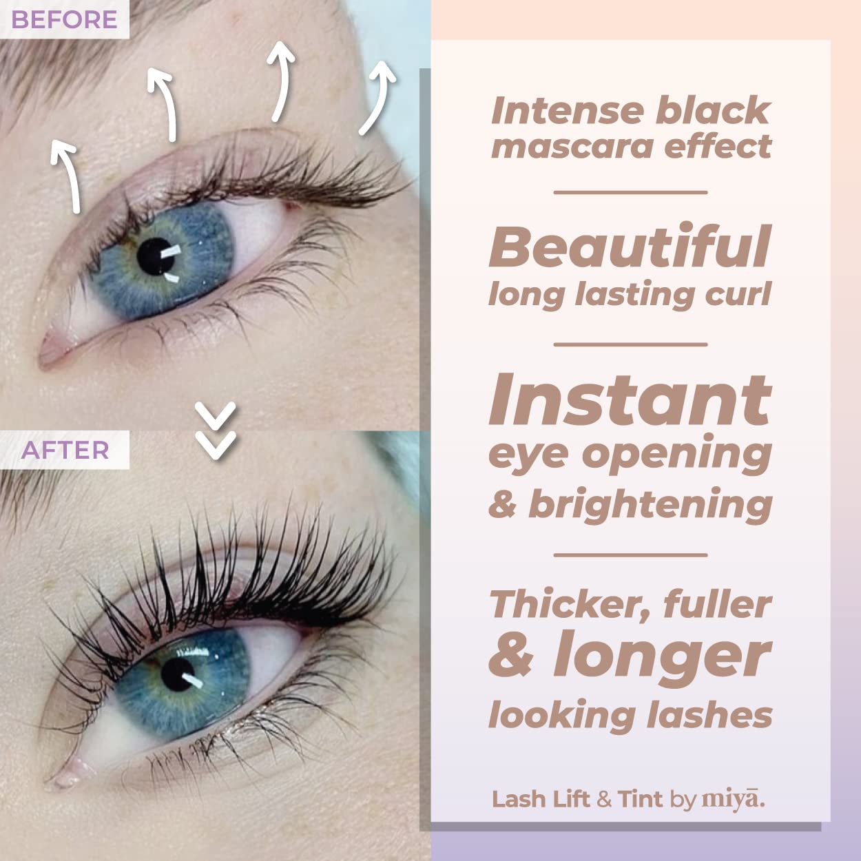 MIYA LASH Lift & Brow Lamination Kit | Black, Voluminous Eyebrows & Eyelashes Color | Professional 8 Weeks Result | LVL, Perm, Laminate | Keratin Brow Beauty & Personal Care MIYA LASH