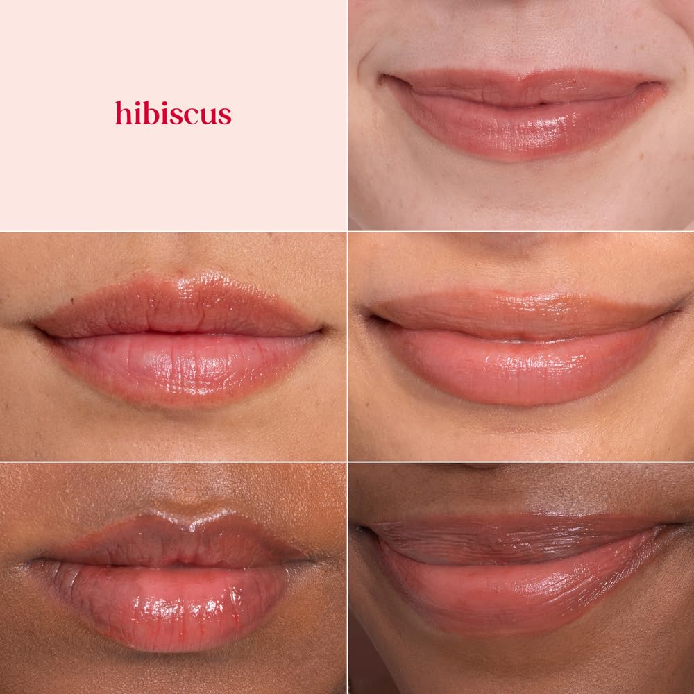 Burts Bees 100% Natural Tinted Lip Balm, Hibiscus with Shea Butter & Botanical Waxes 1 Tube Beauty & Personal Care Burt's Bees