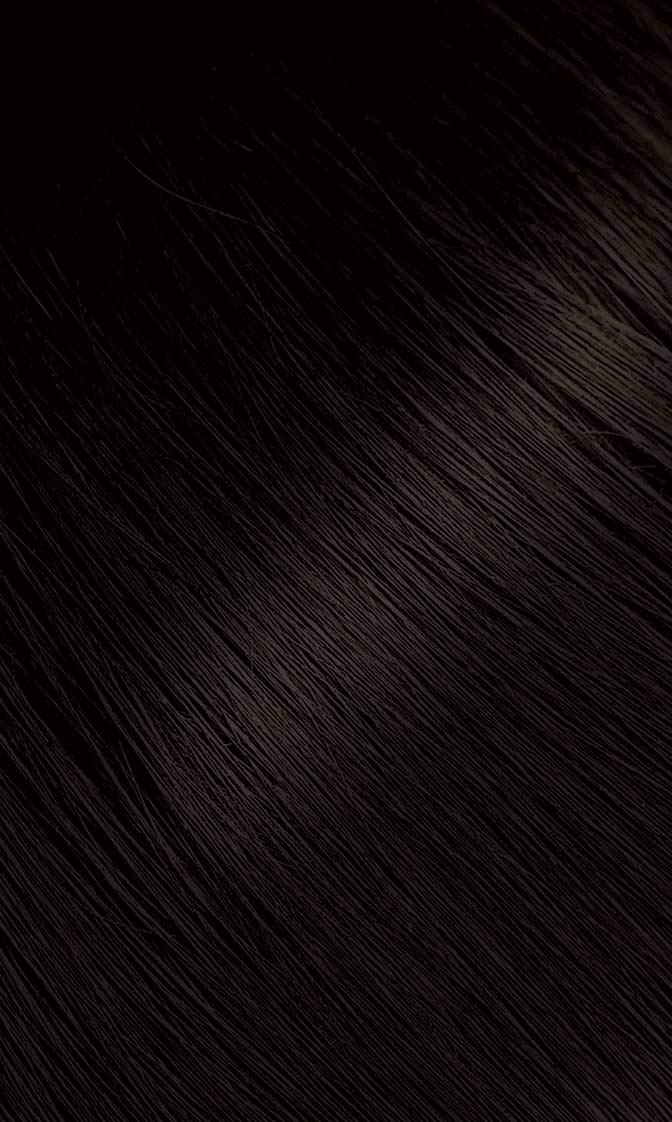 Bigen Powder Hair Color #48 Dark Chestnut 0.21oz (3 Pack) Beauty & Personal Care Bigen