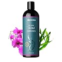 Aleavia Body Cleanse - Organic & All-Natural Prebiotic Body Wash with Pure Cold-Pressed Orchid Oil - Nourish Your Skin Microbiome - 16 Oz Beauty & Personal Care Aleavia