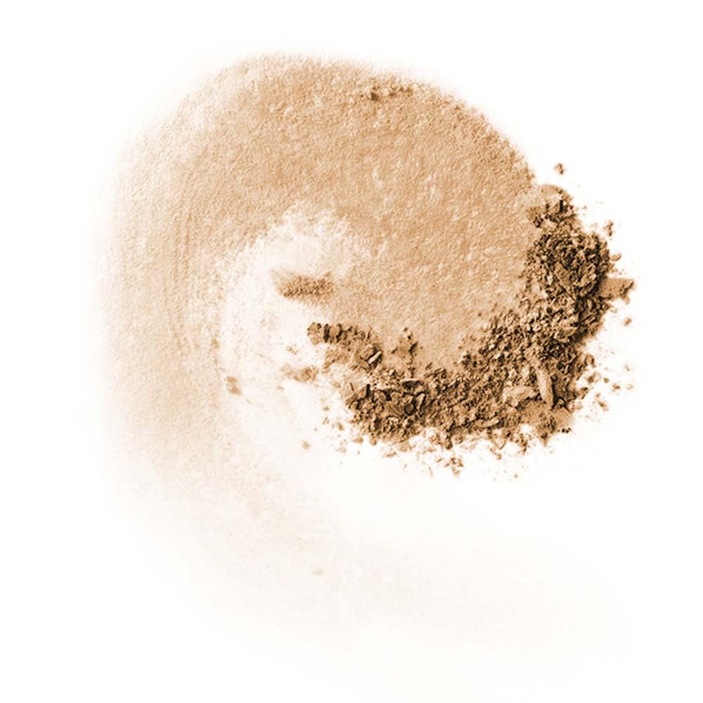 MAC Studio Fix Pro Set + Blur Weightless Loose Powder - Medium Deep (Tanned beige with golden undertone) - 0.22 oz / 6.5 g Beauty & Personal Care MAC