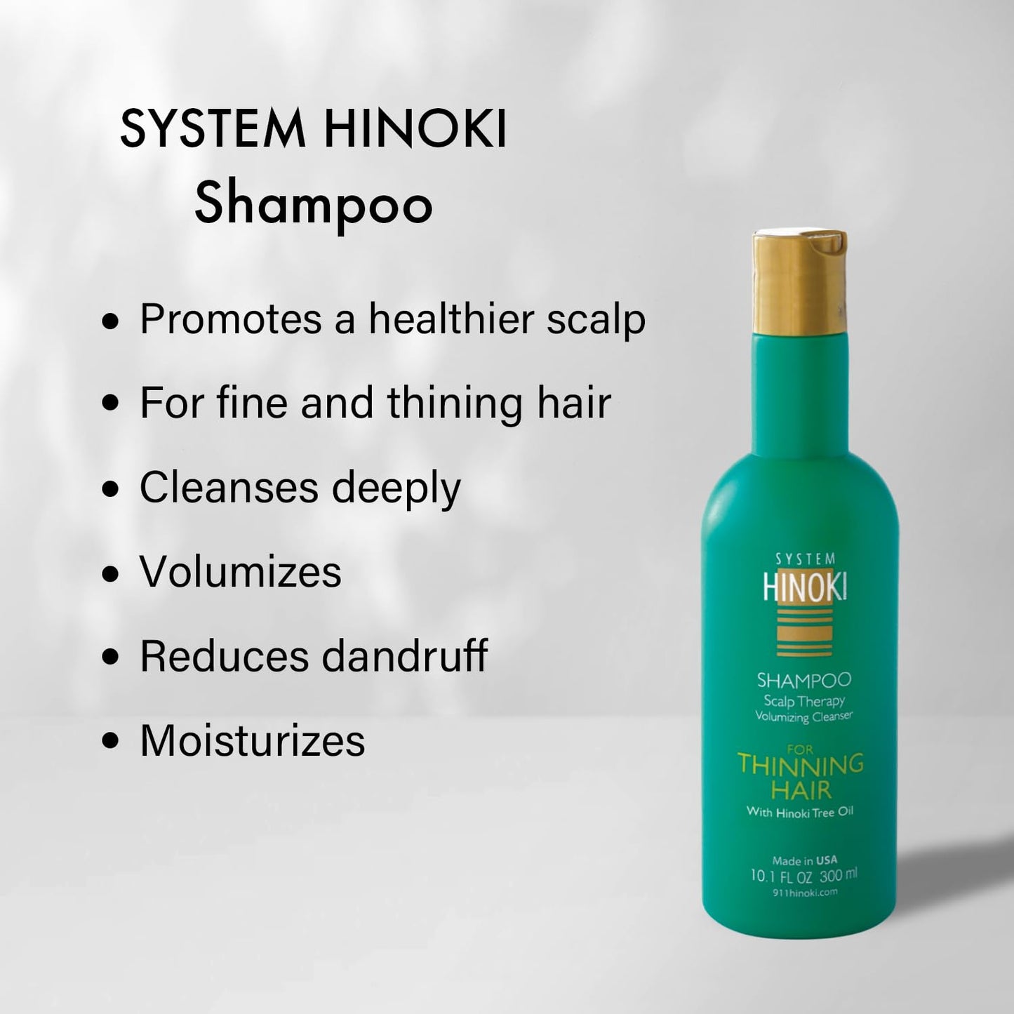 Hayashi System Hinoki Shampoo & Conditioner 10.1oz Duo "Set" Beauty & Personal Care Hayashi