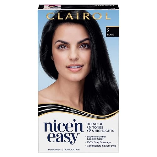 Clairol Nice'n Easy Permanent Hair Dye, 2 Black Hair Color, Pack of 1 Beauty & Personal Care Clairol