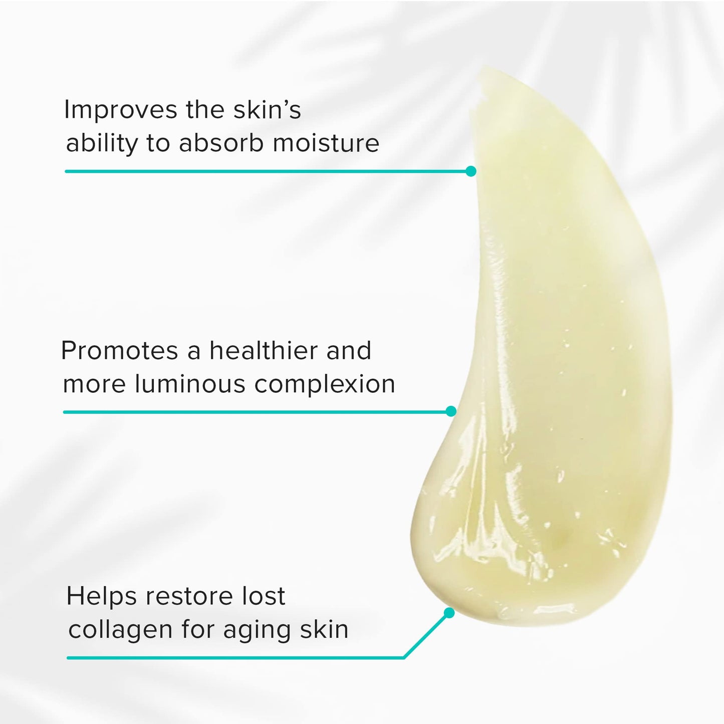 ClarityRx Daily Fruit Antioxidant Moisturizing Mango Face Mask, Plant-Based Creamy Anti-Aging Facial Treatment, Recommended for Mature or Dry Skin Beauty & Personal Care ClarityRx