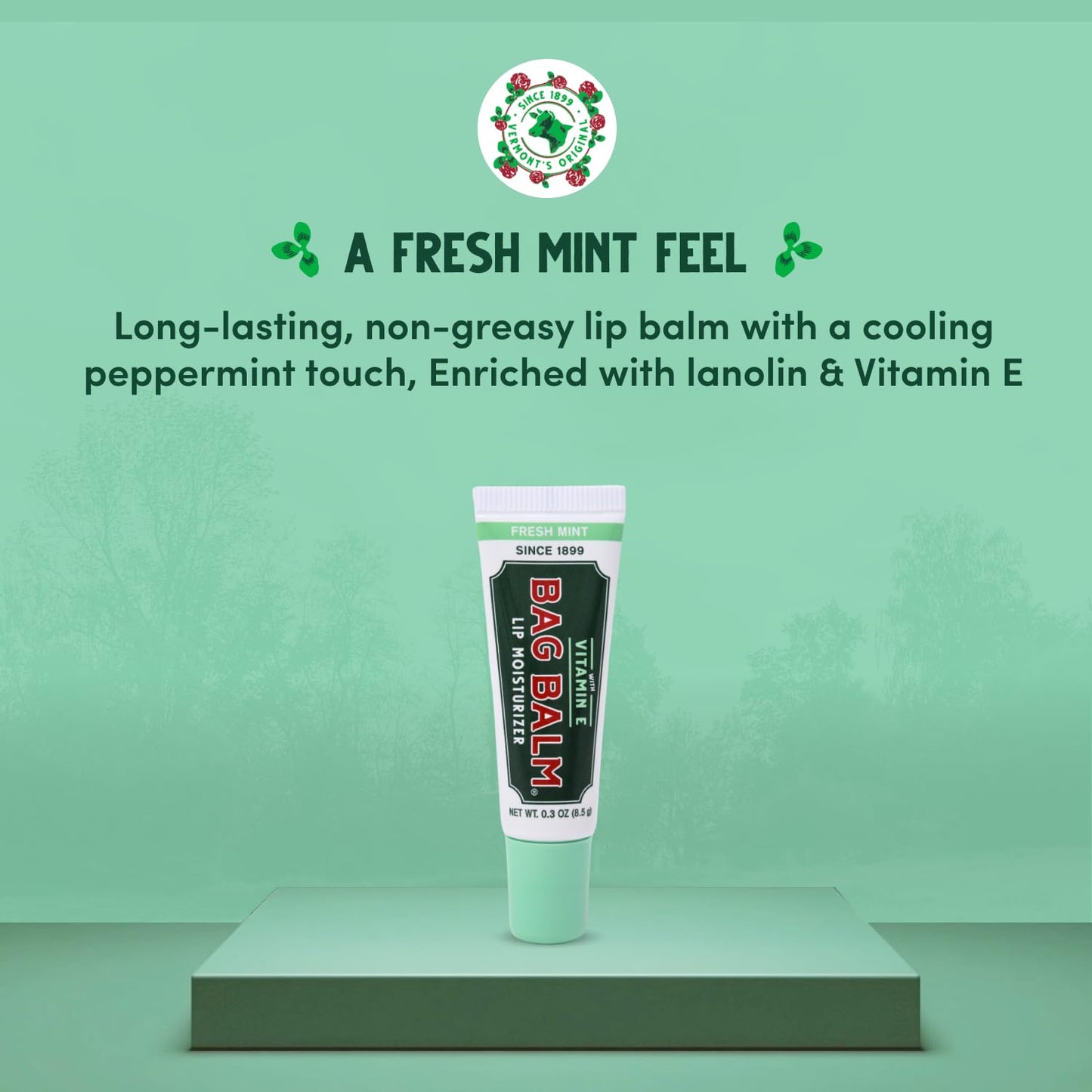 Vermont's Original Bag Balm Moisturizing Lip Balm with Vitamin E - Pack of 4 0.3oz Tubes (4 Pack, Fresh Mint) Beauty and Personal Care Bag Balm