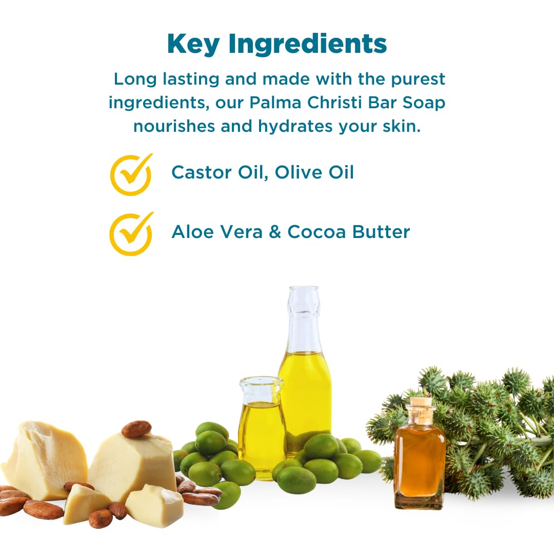 Baar Palma Christi (Castor Oil) Natural Cleansing Bar Soap, 6 bar set Beauty & Personal Care Baar