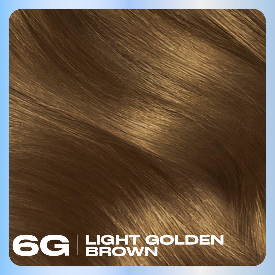 Clairol Nice'n Easy Permanent Hair Dye, 6G Light Golden Brown | 100% Gray Coverage | Long?Lasting, Natural?Looking Color & Shine | Pack of 1 Beauty & Personal Care Clairol