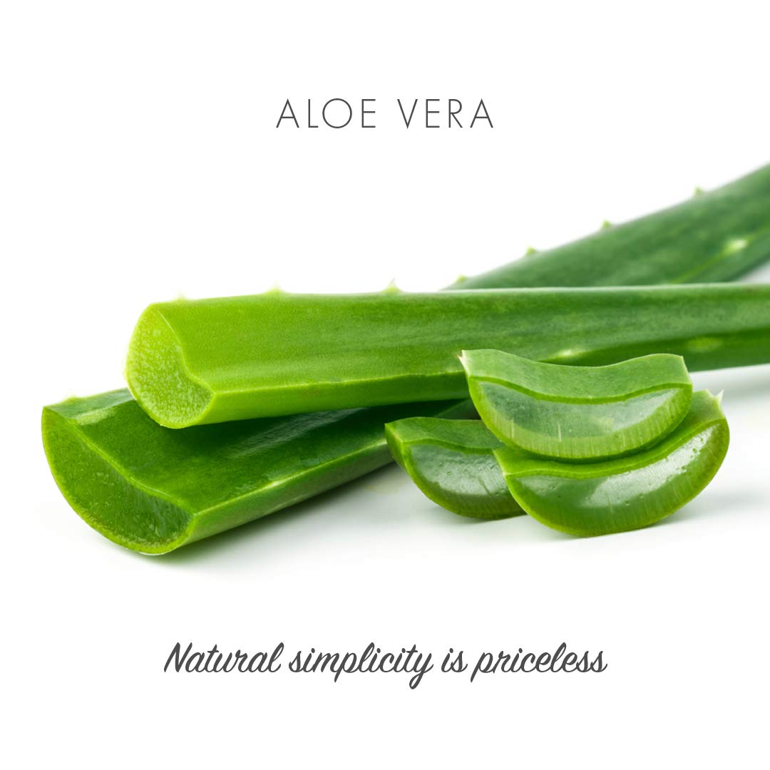 Friendly Soap Natural Handmade Aloe Vera Soap by Friendly Soap Beauty & Personal Care Friendly Soap