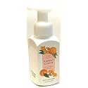 Bath and Body Works Gentle Foaming Hand Soap, 8.75 fl. oz., Kitchen Mandarin Purely Clean Beauty & Personal Care Bath & Body Works