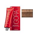 Schwarzkopf Igora Royal Permanent Hair Color - 7-65 Medium Auburn Gold Blonde Beauty & Personal Care Schwarzkopf Professional