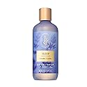 Bath & Body Works Lavender Vanilla Body Wash & Foam Bath, Aromatherapy Cleanser with Vitamin E & Aloe, Non-Drying & Gentle for Daily Use, 10 fl oz - 1 Beauty & Personal Care Bath & Body Works