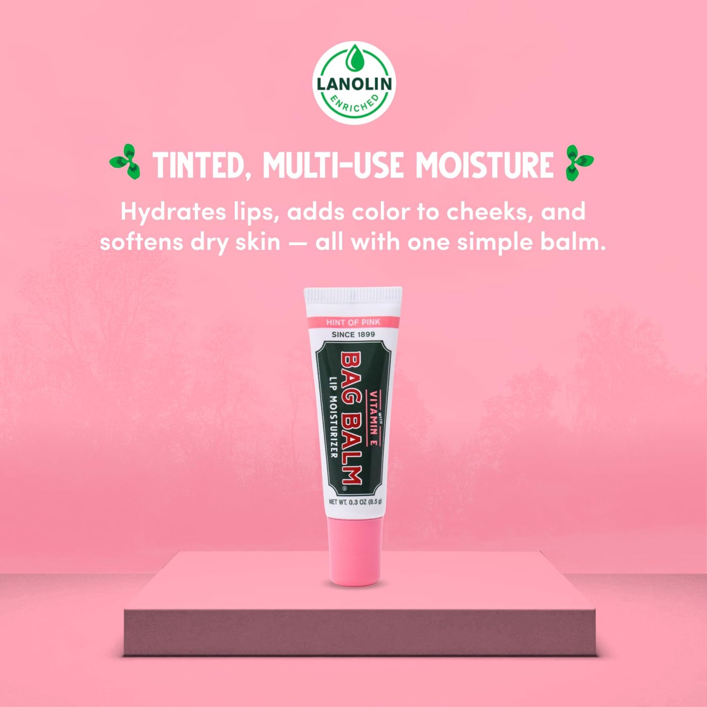 Vermont's Original Bag Balm Moisturizing Lip Balm with Vitamin E - Pack of 4 0.3oz Tubes (4 Pack, Hint of Pink) Beauty and Personal Care Bag Balm