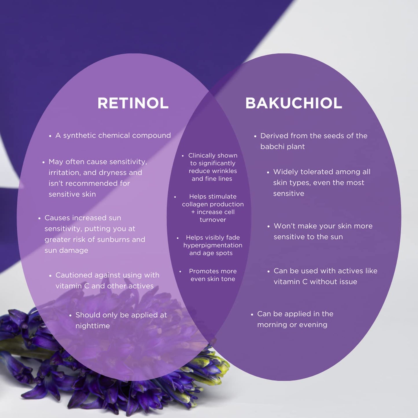 AGE DEFYING Plant Based Retinol Alternative Rejuvenating Sleeping Mask Beauty & Personal Care Andalou Naturals