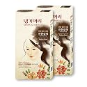 Daeng Gi Meo Ri - Korean Herbal Hair Dye Color Cream [Medium Brown] (2 PACK) - PPD-Free Gray Coverage, Hair Protection, High-Keratin Formula, 5 Oz Beauty & Personal Care Daeng Gi Meo Ri