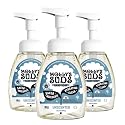 Molly's Suds Foaming Hand Soap - Made with Aloe and Coconut Oil | Moisturizing Hand Wash | Clean Ingredients, Infused with Essential Oils | Unscented Beauty & Personal Care Molly's Suds