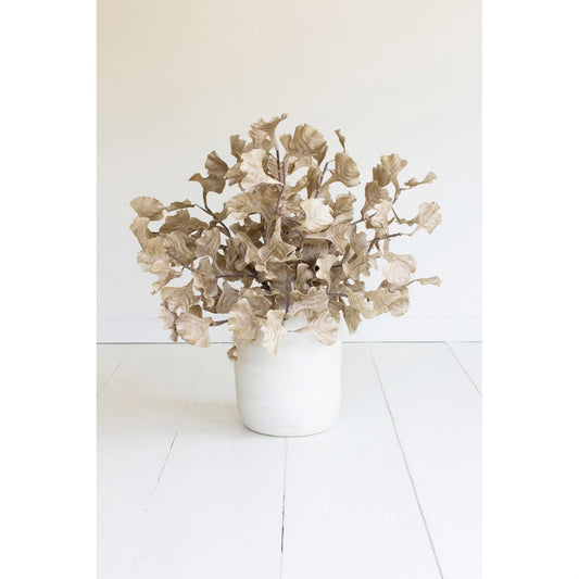 KALALOU Botanica #3558