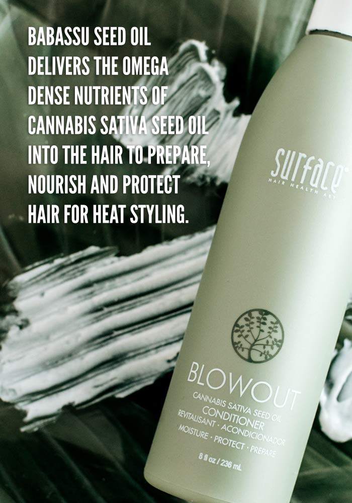 Surface Hair - Blowout Condtioner - Organic Ingredients for Women and Men, Heat-Resistant with Babassu Oil for Longer Lasting Blowouts - 8 fl oz Beauty & Personal Care SURFACE