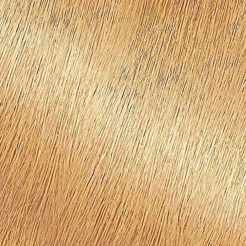 Garnier Nutrisse Nourishing Hair Color Creme, 93 Light Golden Blonde (Honey Butter) (Packaging May Vary) Beauty & Personal Care Garnier