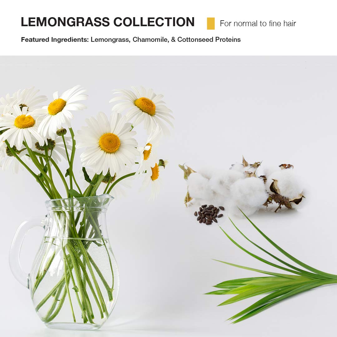 MOP - Lemongrass Lift Root Spray - Volumizes & Heat Protection- 8.45 fl oz Beauty & Personal Care MOP