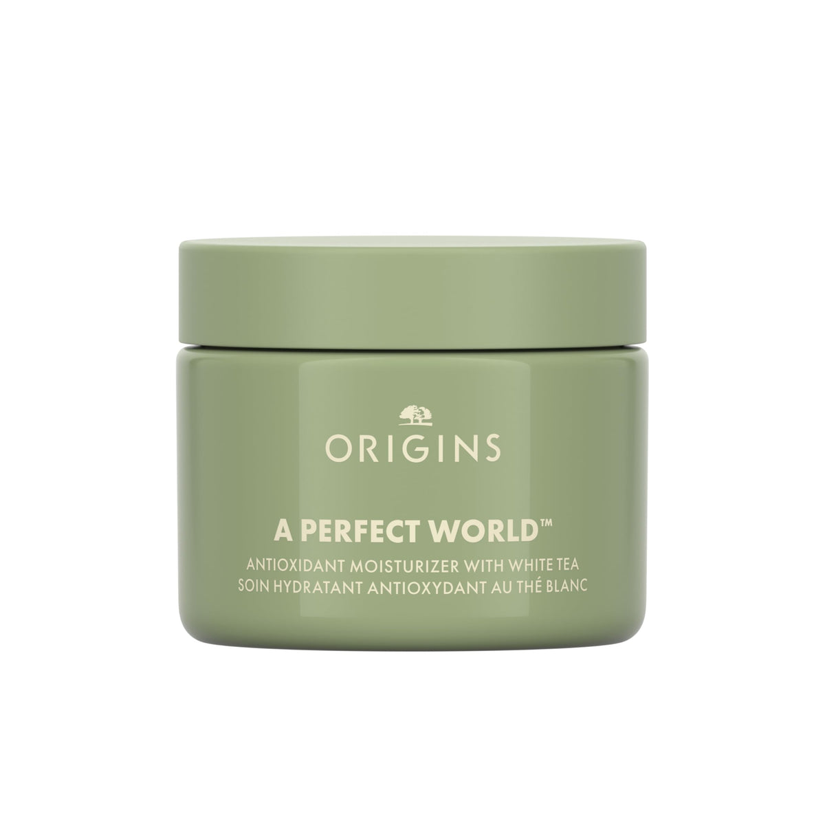 Origins A Perfect World Antioxidant Moisturizer | Keeps Skin Looking Youthful | With White Tea, 1.7 Fl Oz Beauty & Personal Care Origins