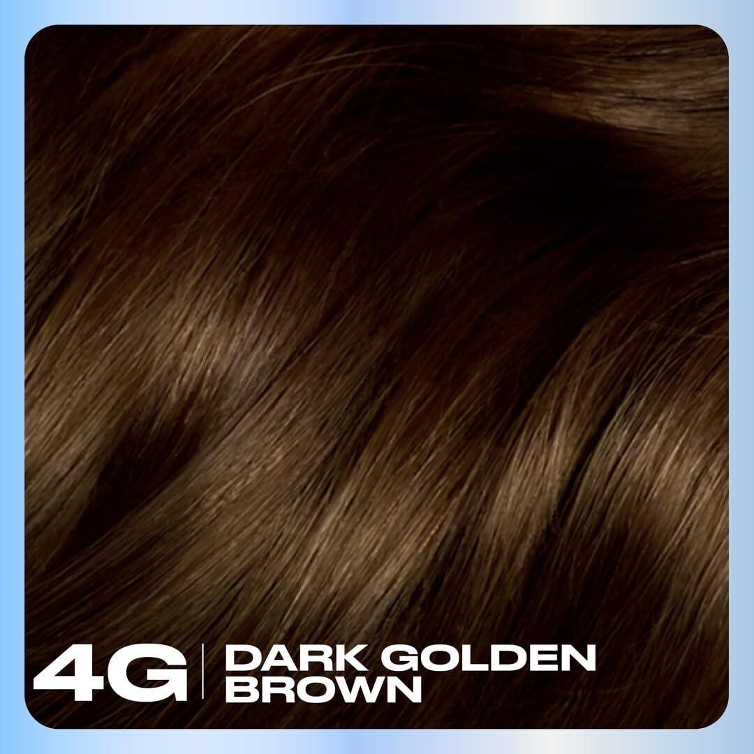 Clairol Nice'n Easy Permanent Hair Dye, 4G Dark Golden Brown | 100% Gray Coverage | Long?Lasting, Natural?Looking Color & Shine | Pack of 1 Beauty & Personal Care Clairol