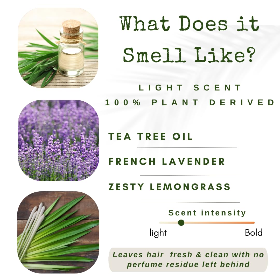 /liv/ Nature Shampoo Bar and Conditioner with Travel Tins | Lemongrass, Lavender, Tea Tree Oil | Clarifying & Growth | For Oily Hair | USA 2-pk Beauty & Personal Care /liv/ Nature