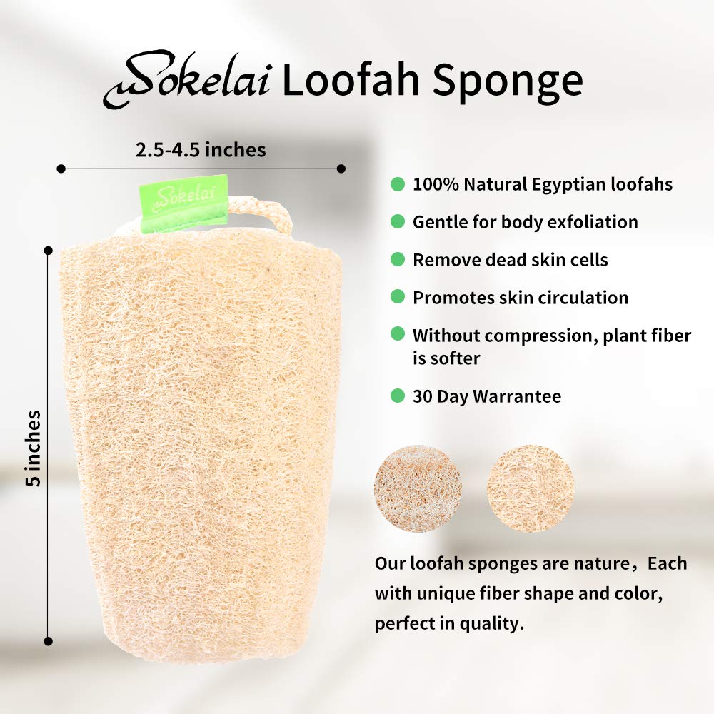 Natural Loofah Sponge - Exfoliating Body Scrubber for Shower Scrubbing, Organic Luffa Sponges, Egyptian Real Loofa, Bath Shower Puff for Bathing, Spa Beauty & Personal Care wokelai