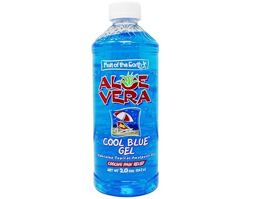 Fruit of the Earth | Aloe Vera Clear Gel | 20 oz Beauty & Personal Care Fruit of the Earth
