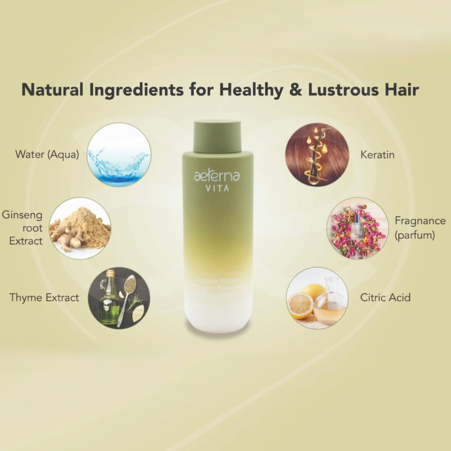 Aeterna VITA Intense Repair Keratin Shampoo for Dry Damaged Hair | Thyme, Ginseng Root Extract | Color-Safe - 250 ml Beauty & Personal Care Aeterna