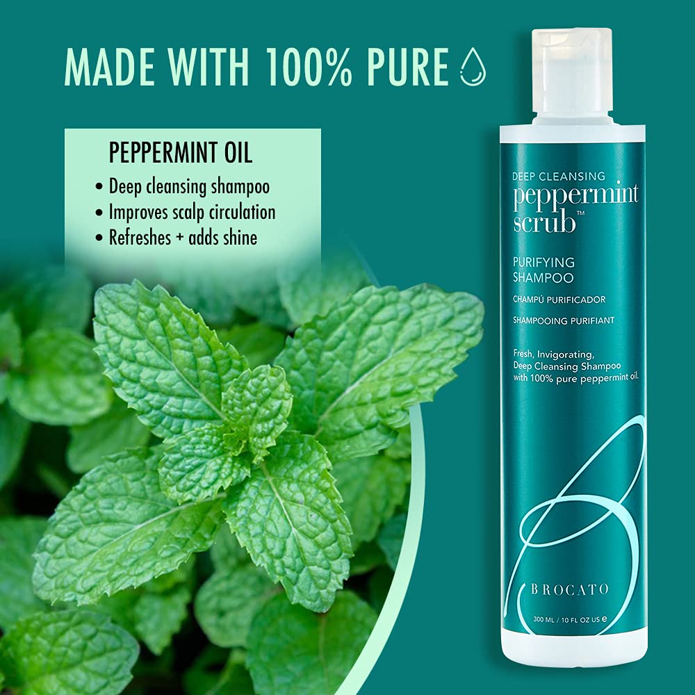 Brocato Peppermint Scrub Purifying Shampoo, Deep Cleansing, 10 Oz. | Fresh, Invigorating, & Lightweight with Pure Peppermint Oil | Ideal for Oily Beauty & Personal Care Brocato