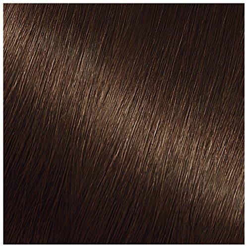 Garnier Hair Color Nutrisse Nourishing Creme, 41 Dark Nude Brown (Iced Coffee) Permanent Hair Dye, 1 Count (Packaging May Vary) Beauty & Personal Care Garnier