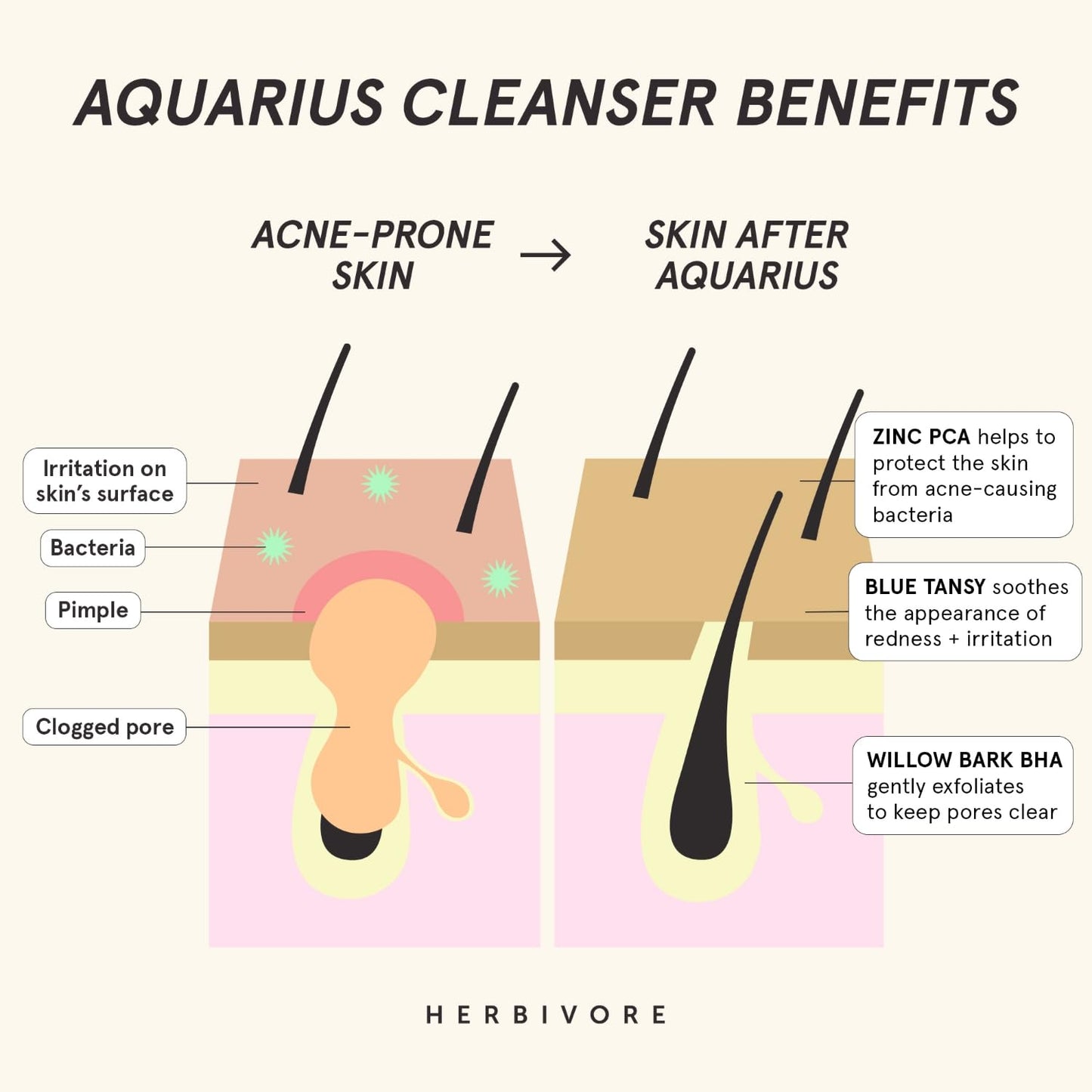 HERBIVORE Aquarius BHA + Blue Tansy Clarity Cleanser | Deep Cleansing Face Wash with Gentle Exfoliation for Oily-Combination Skin, Vegan, 100 mL / 3.3 Beauty & Personal Care HERBIVORE