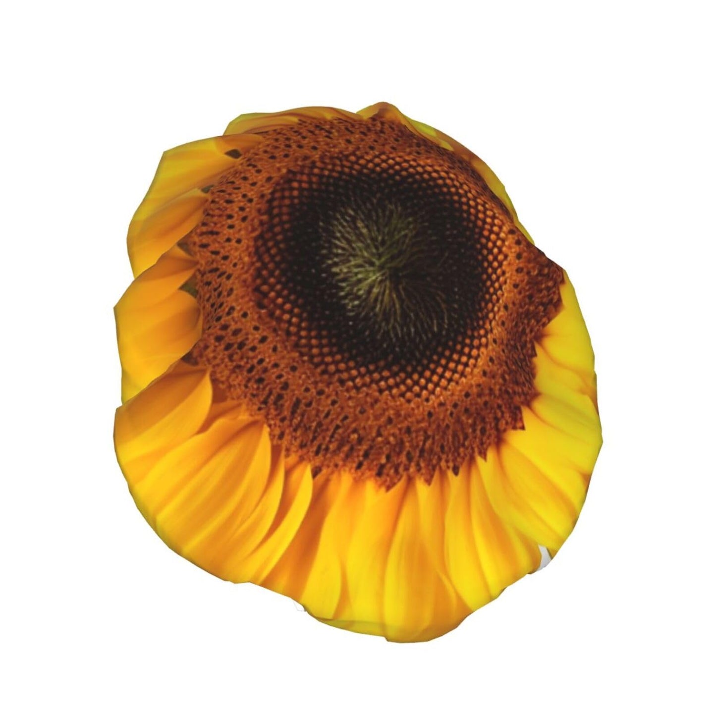 Sunflower Isolated Shower Cap for Women Men Large Reusable Shower Bonnet Double-Layer Waterproof Bath Caps Elastic Band Hair Hat for All Hairstyles Beauty and Personal Care BWLHJKE