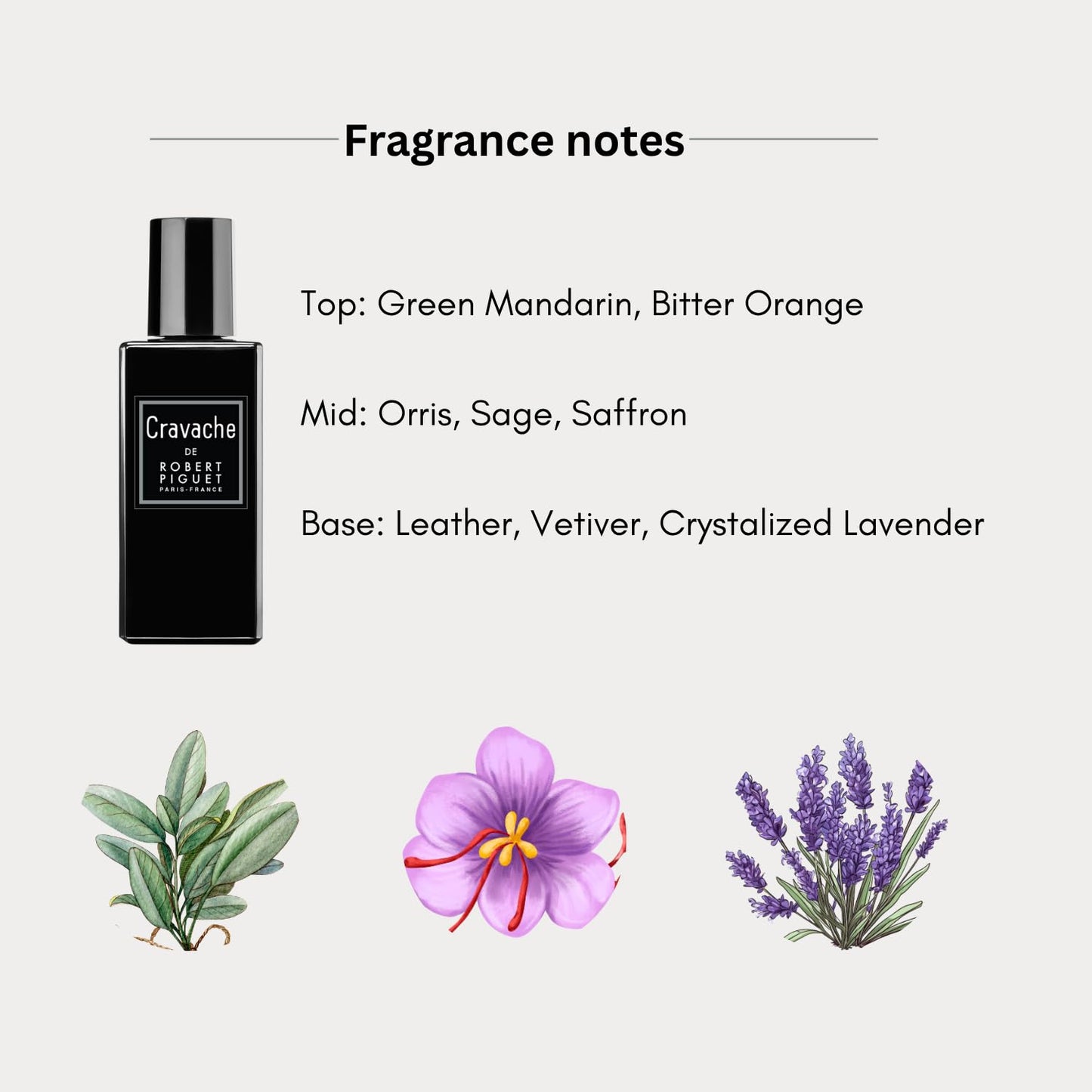 Robert Piguet Cravache Eau de Parfum Spray - Aromatic Perfume with Notes of Bitter Orange, Sage & Lavender - Made in France, 3.4 Fl Oz Beauty & Personal Care Robert Piguet