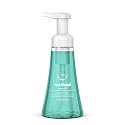 Method Foaming Hand Soap, Waterfall, Paraben and Phthalate Free, 10 Fl Oz (Pack of 1) Beauty & Personal Care Method