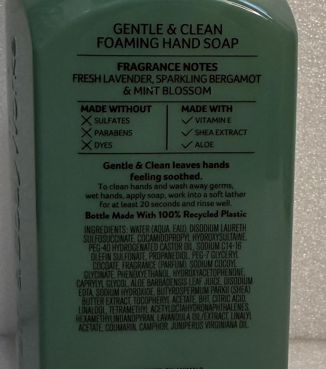 Bath and Body Works Clean House Vibes Gentle Foaming Hand Soap Pack of 2 Beauty & Personal Care Bath & Body Works