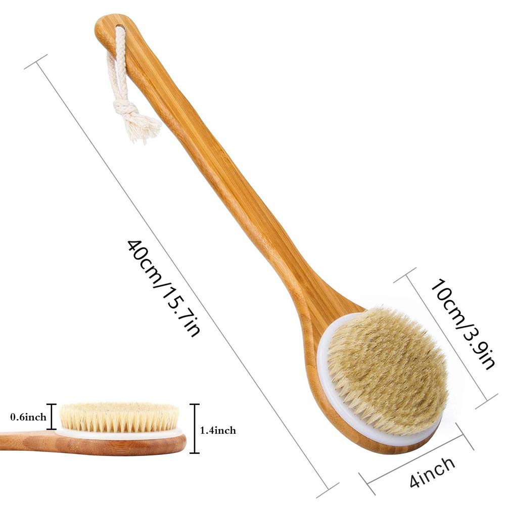 Shower Brush with Natural Bristle - Long Bamboo Handle Bath Body Brush for Wet or Dry Brushing - Improves Blood Circulation, Exfoliating Skin Beauty & Personal Care Lauliven