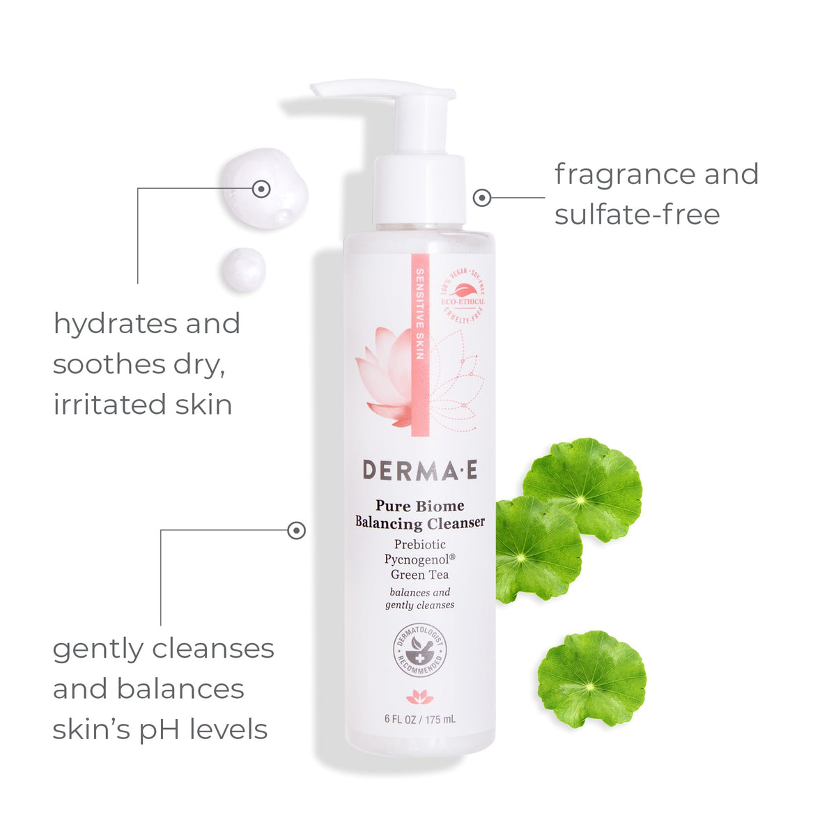 Derma E Pure Biome Balancing Cleanser- For Sensitive Skin Fragrance-Free, 6oz Beauty & Personal Care Derma E