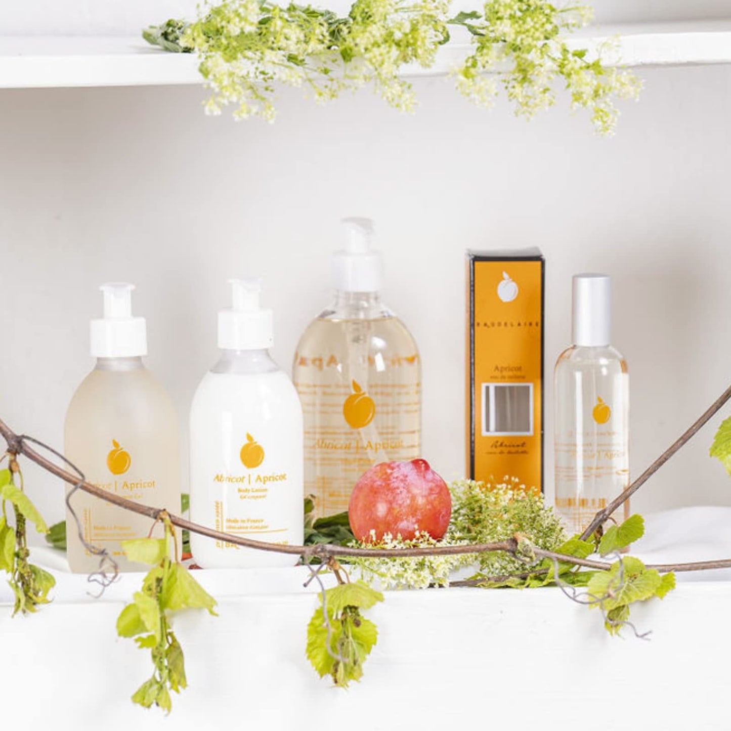 Provence Sante Eau de Toilette Spray - Luxury Long-Lasting Fragrance - Apricot Scent - Elegant Perfume Gift - Made in France - 3.5 Oz Beauty & Personal Care Provence Sante