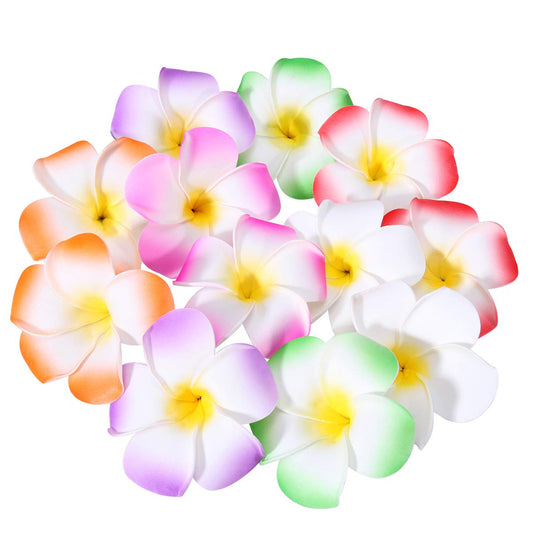 FRCOLOR 12 Pieces 3.5 Inch Hawaiian Plumeria Flower Hair Clips Foam Women Ladies Hair Accessories for Beach Party Wedding Event Decoration Beauty & Personal Care FRCOLOR