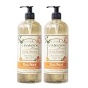 A LA MAISON Body Wash, Citrus Blossom, 25.36 Fluid Ounce, 2Pack Beauty & Personal Care A LA MAISON