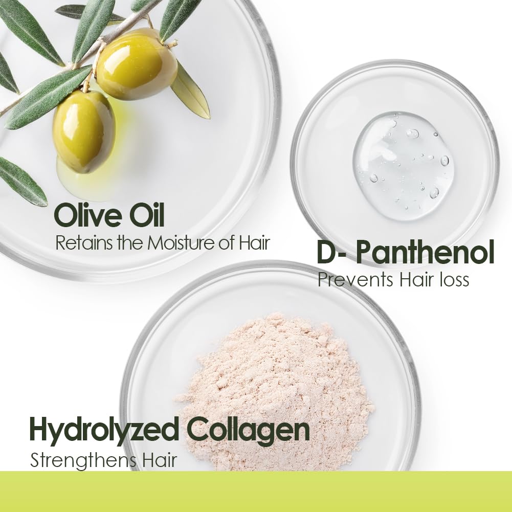 Chihtsai Olive Conditioner set 280ml/9.5oz Beauty & Personal Care Chihtsai