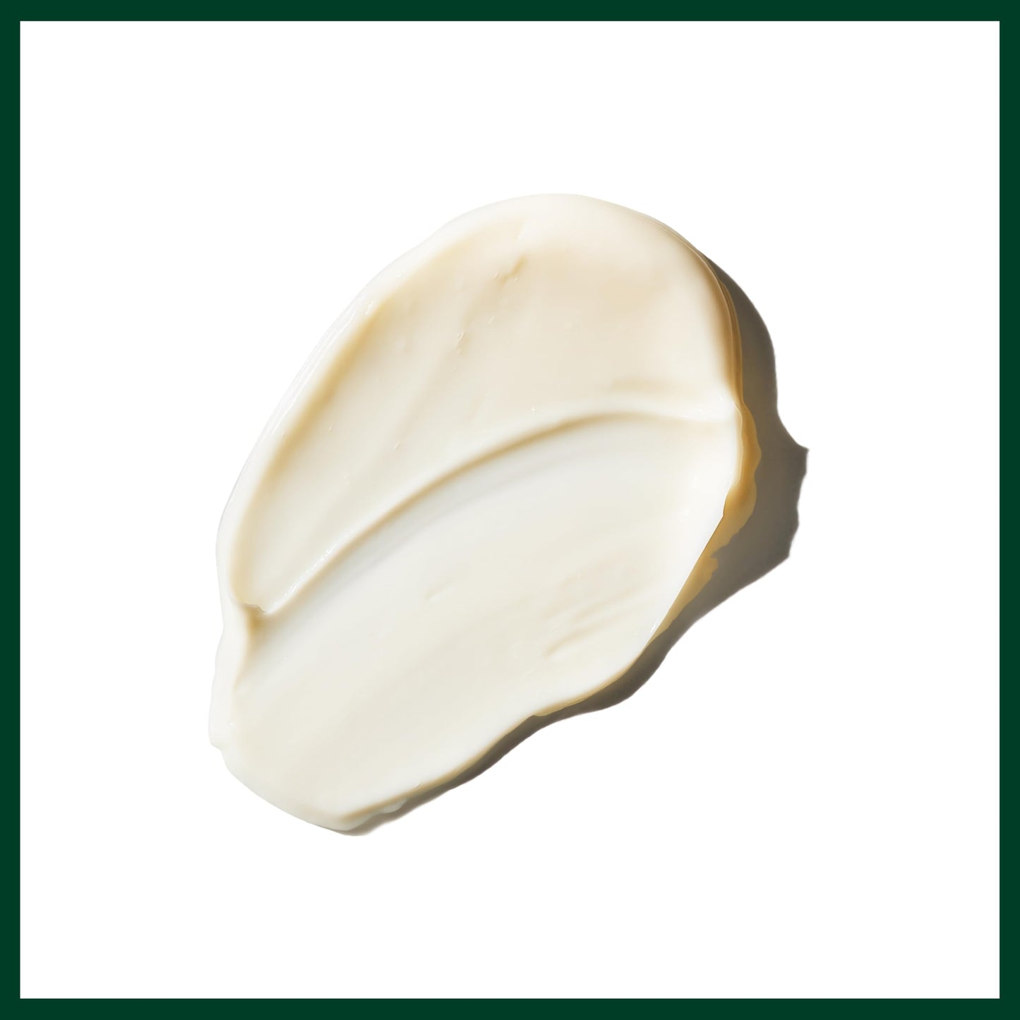 Aveda Botanical Kinetics Energizing Eye Creme | Helps Brighten Under Eyes, Reduces the Look of Dark Circles | with Licorice Root and Caffeine | 96% Beauty & Personal Care Aveda