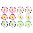 Amosfun 12Pcs Hawaii Plumeria Flower Clips Artificial Tropical Flower Hairpin Barrette Hair Accessories for Bridal Wedding Luau Beach Tropical Beauty & Personal Care Amosfun