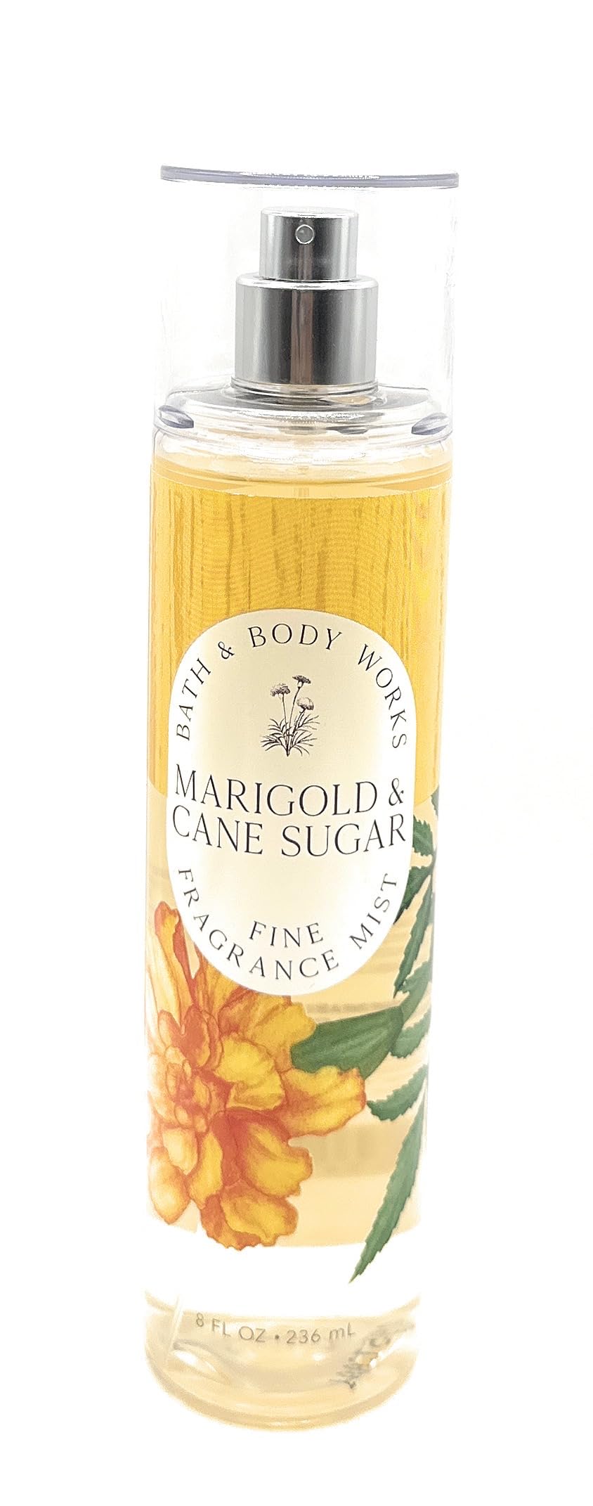 Bath and Body Works Marigold & Cane Sugar Fine Fragrance Mist 8 Ounce Body Spray Beauty & Personal Care Bath & Body Works